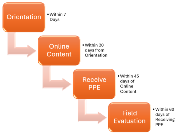 Learning Path